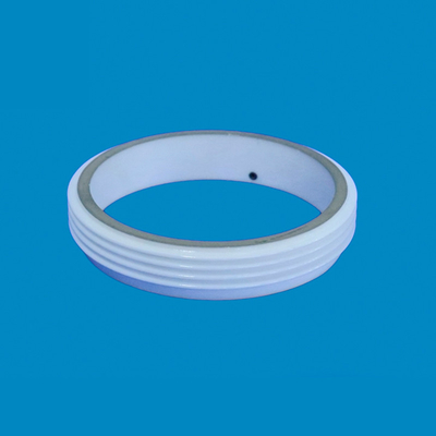 3.6g/Cm³ 95% Alumina Ceramics Ring High Insulation Heat Resistant